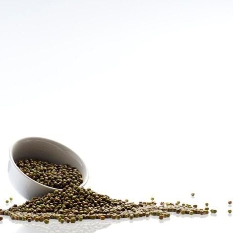 Bamya Tohumu Yağı Soğuk Sıkım