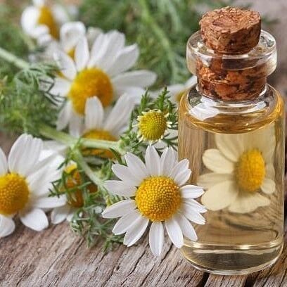 Papatya Yağı Roman Uçucu