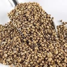 Kişniş Yağı Uçucu