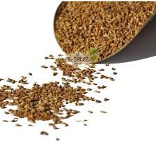 Maydanoz Tohumu Yağı Uçucu