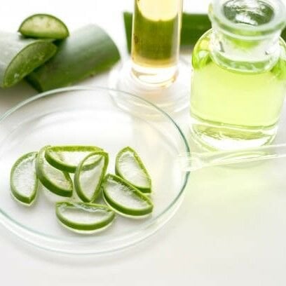 Aloevera Yağı Maserasyon