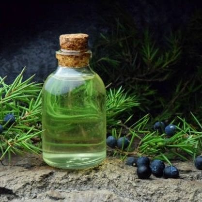 Ardıç Tohumu Yağı Uçucu