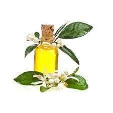 Amyris Yağı Uçucu