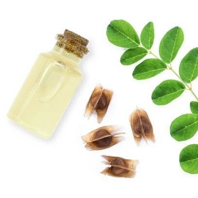 Çay Tohumu Yağı Soğuk Sıkım