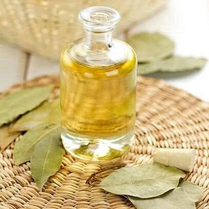 Defne Yaprağı Yağı Uçucu