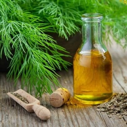 Dereotu Tohumu Yağı Uçucu