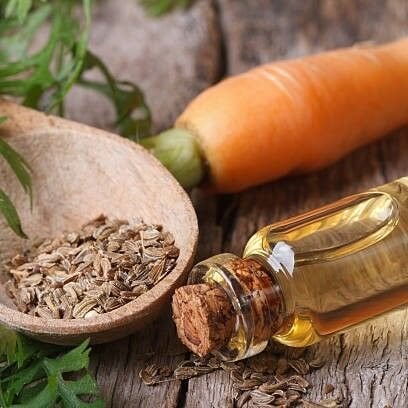 Havuç Tohumu Yağı Uçucu