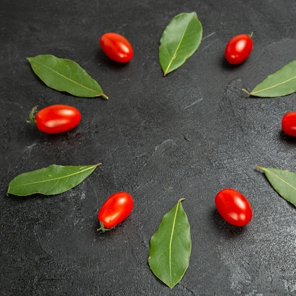 Keklik Üzümü Yağı Uçucu