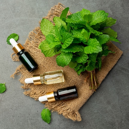 Melisa Yağı Uçucu