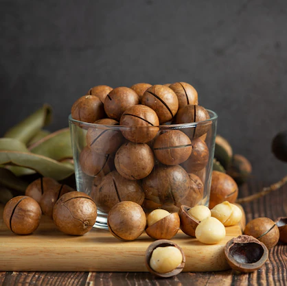 Makademya Cevizi Yağı Soğuk Sıkım