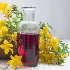 Pelesenk Yağı Yaralama Yöntemi