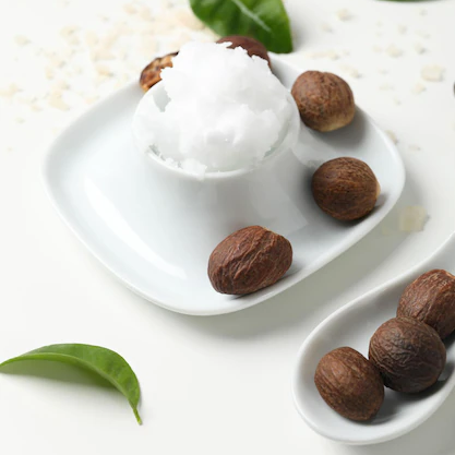 Shea Butter Yağı