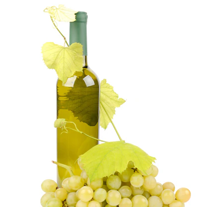 Üzüm Çekirdeği Yağı Soğuk Sıkım