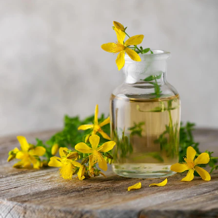 Ylang Ylang Yağı Uçucu