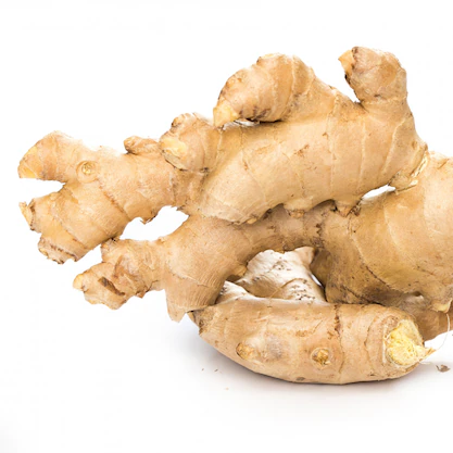 Zencefil Yağı Maserasyon