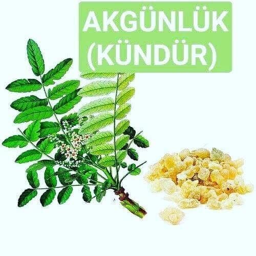 Akgünlük Hidrosolü Yağ Altı