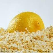 Limon Kabuğu Hidrosolü Yağ Altı